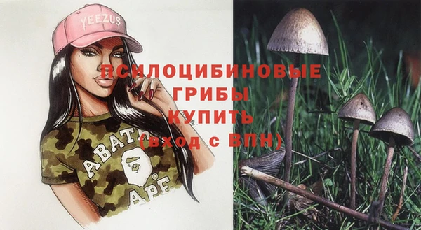 прущие крисы Верея