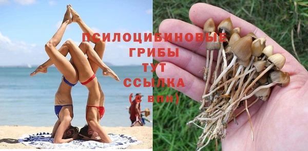 стаф Верхнеуральск