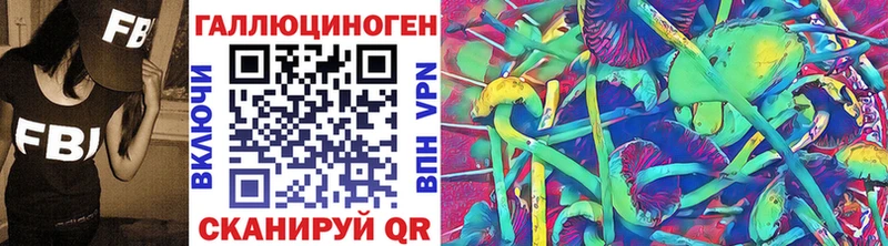 Псилоцибиновые грибы мицелий  Купить  Владикавказ 